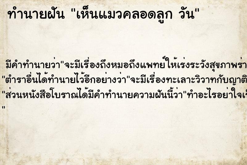 ทำนายฝันเห็นแมวคลอดลูกวัน ทำนายฝันทำนายฝันเห็นแมวคลอดลูกวัน